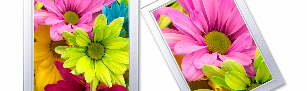 ht2500uv卷材打印機